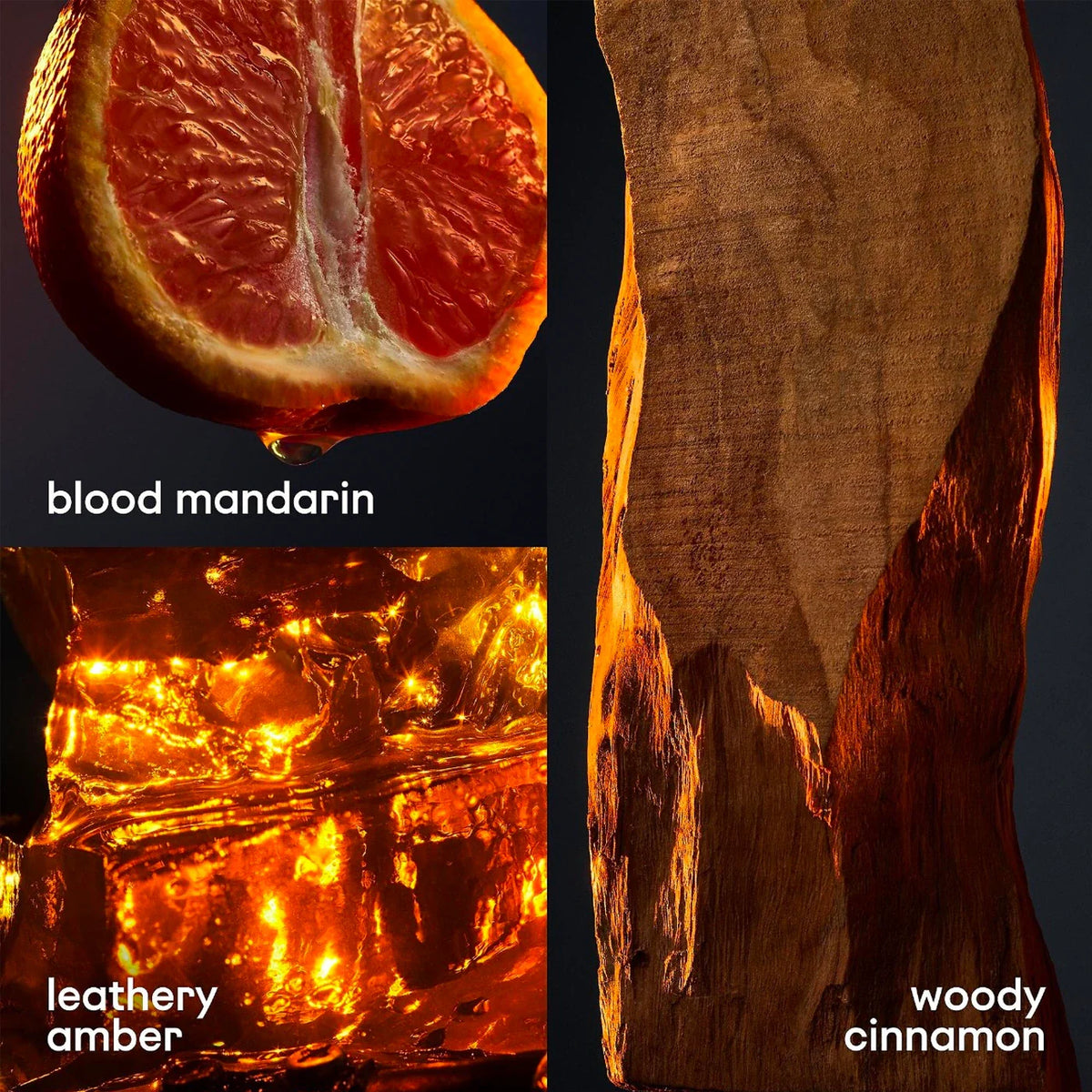 Collage of blood mandarin, leathery amber, and woody cinnamon with corresponding images and text. Perfume