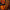 Collage of blood mandarin, leathery amber, and woody cinnamon with corresponding images and text. Perfume