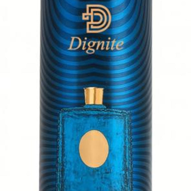 DIGNITE WARRIOR PERFUMED MIST 250ML