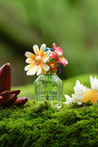 Marc Jacobs Daisy Wild Eau So Intense 3.4 oz EDP for Women