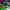 Odyssey Spectra product with rainbow design on a colorful abstract background