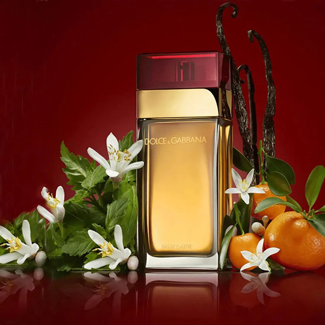 Dolce & Gabbana 3.3 oz EDT for women