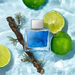 Blue Seduction 3.4 oz EDT for men