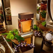 Dolce & Gabbana perfume bottle on a decorative surface with plants and a watch.