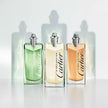 Declaration 3.4 oz EDT for men