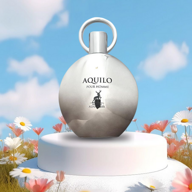 Aquilo Pour Homme 3.4 oz EDP for Men