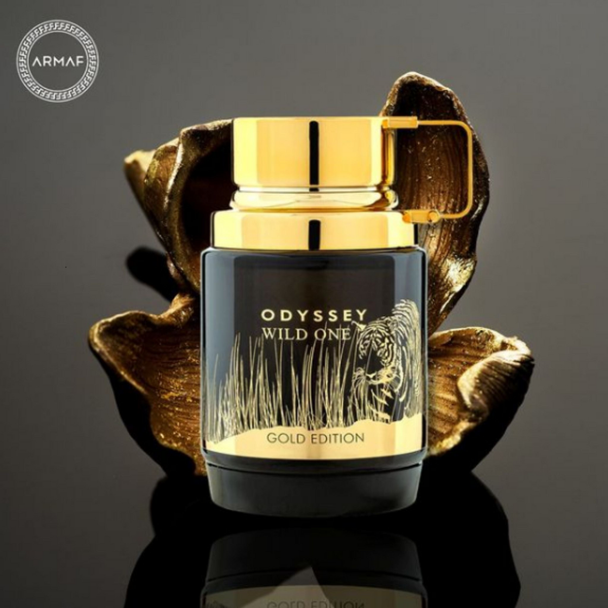 Armaf Odyssey Wild One 3.4oz EDP for men