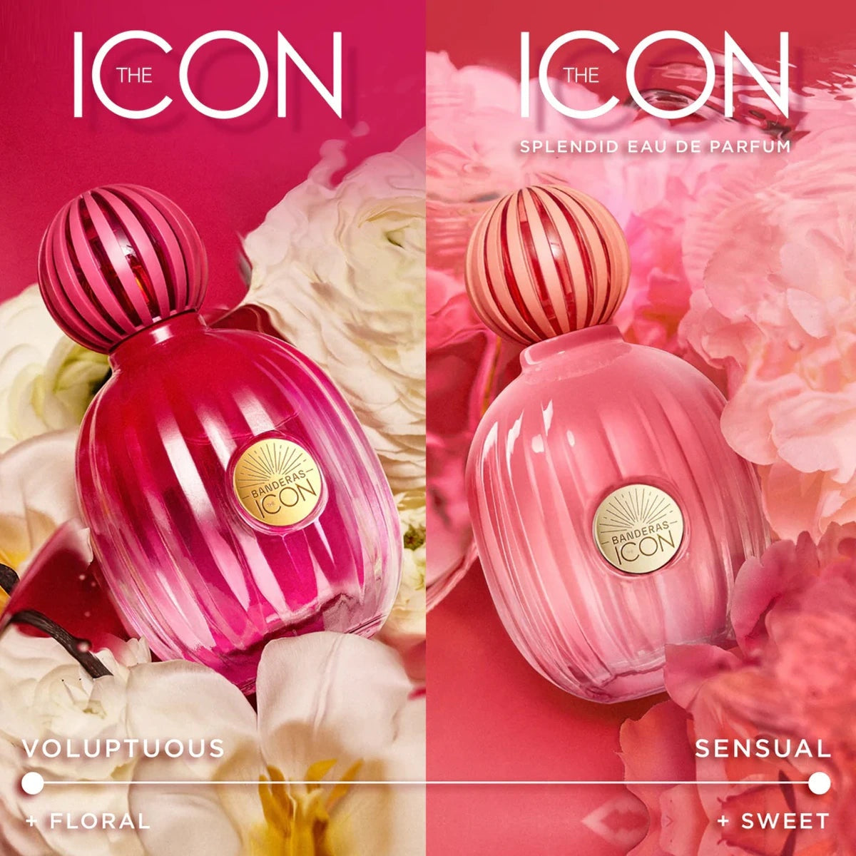Antonio Banderas The Icon Splendid 3.4oz EDP for women