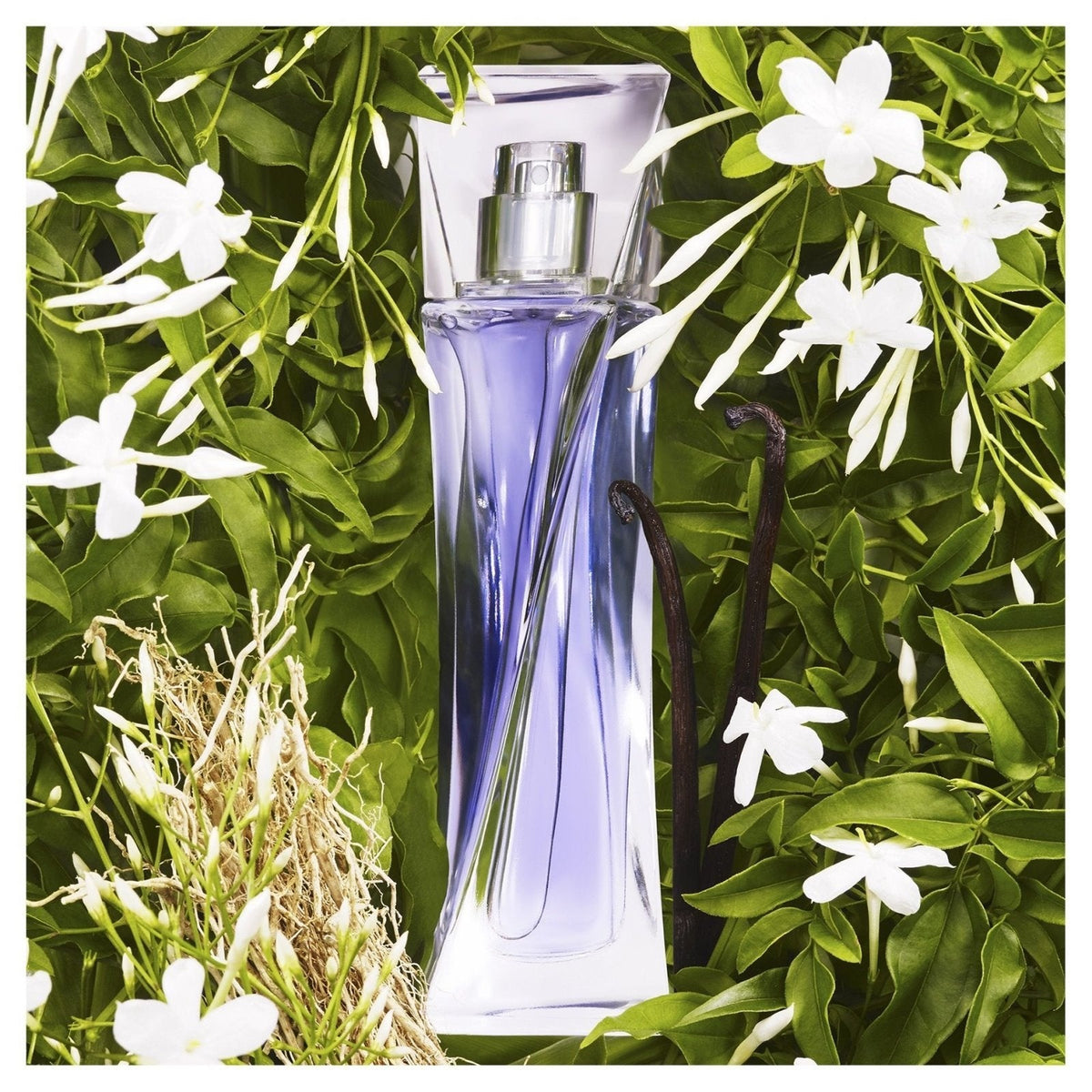 Lancome Hypnose 2.5 oz EDP for women