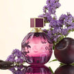 Jimmy Choo Fever 2.0 oz EDP for women