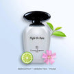 Night  De Paris Silver 3.4 oz EDP Unisex
