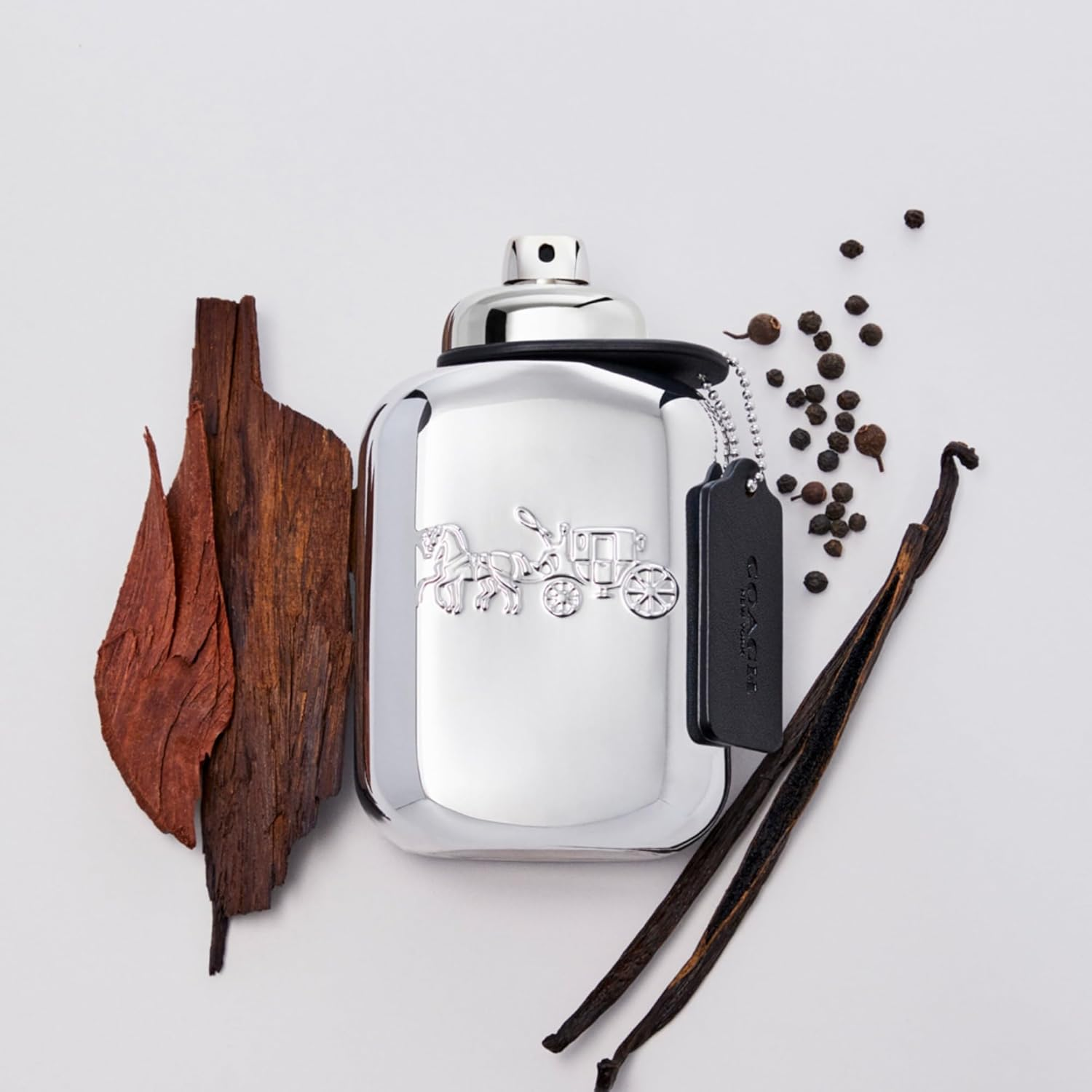 Coach Platinum 3.3 oz EDP for Men