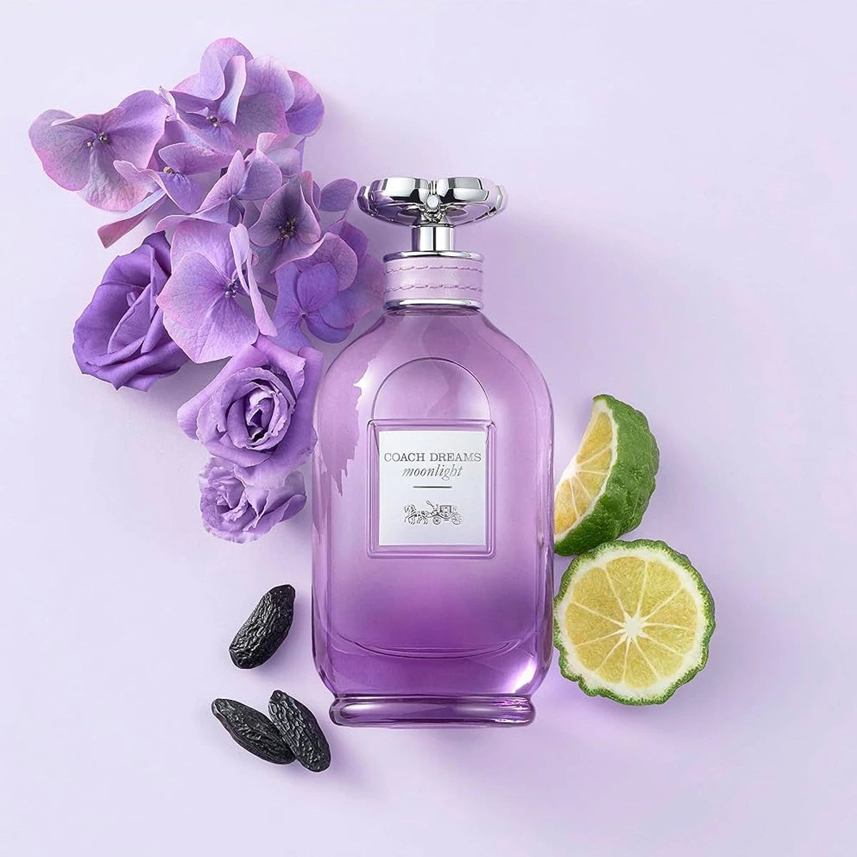 Coach Dreams Moonlight 3.0 oz EDP for Women