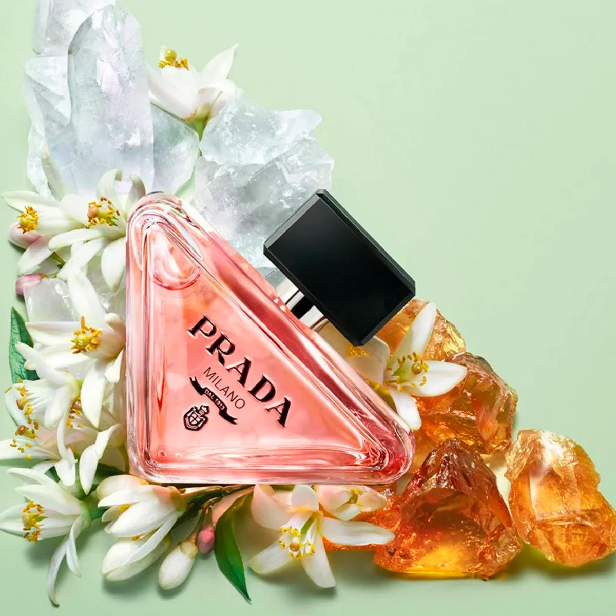 Prada Milano perfume bottle with flowers and orange peels on a light green background